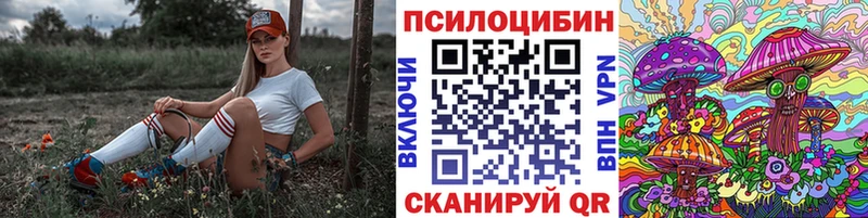 Галлюциногенные грибы прущие грибы  где купить наркоту  MEGA зеркало  Норильск 
